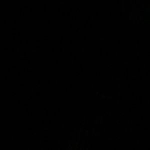 Meet your Posher, Eliu